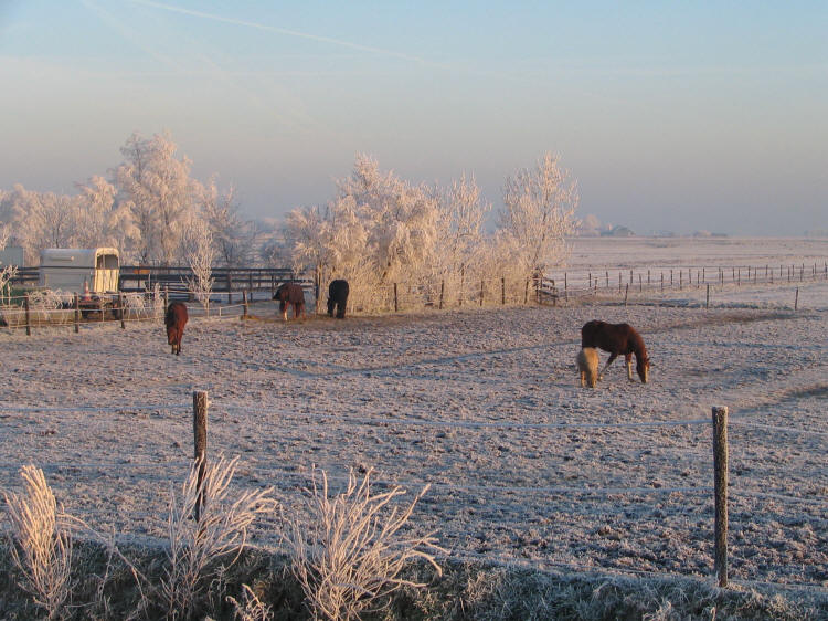  Stal Bleijkmeer