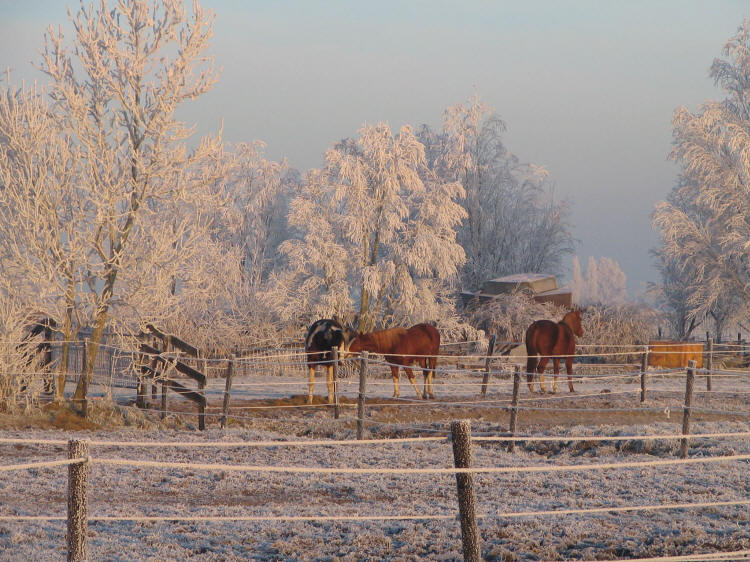  Stal Bleijkmeer