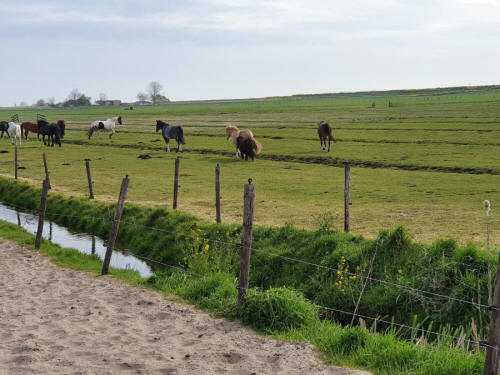  Stalbleijkmeer